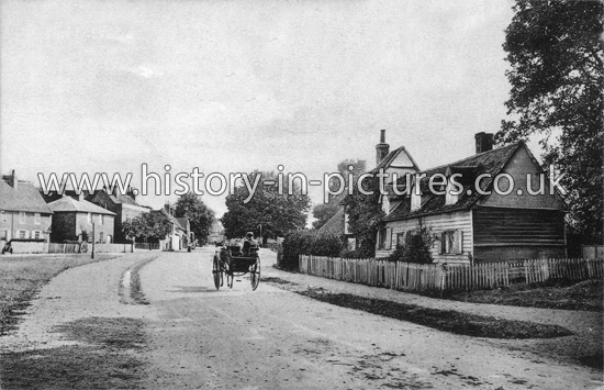 The Village, Roydon, Essex. c.1905